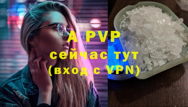 шишки Армянск