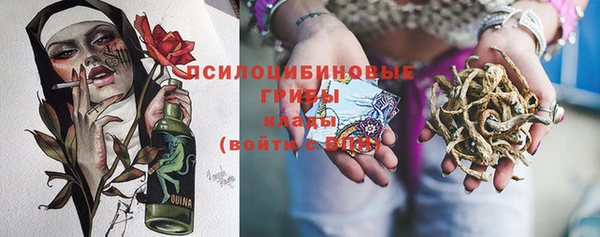 шишки Армянск