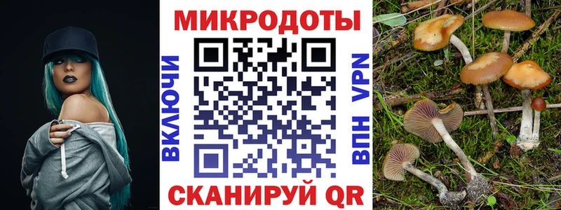 цены   Тихорецк  Галлюциногенные грибы прущие грибы 